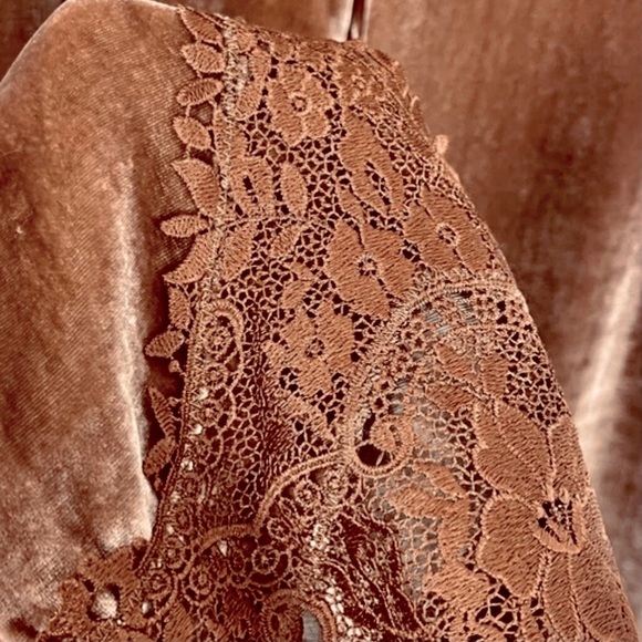 CARLISLE Collection Harmony Velvet Pants - Picture 9 of 12